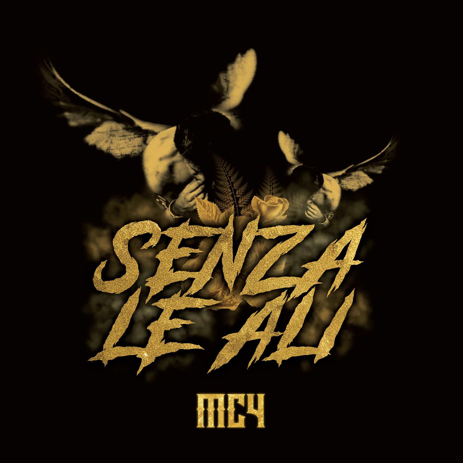 Senza Le Ali