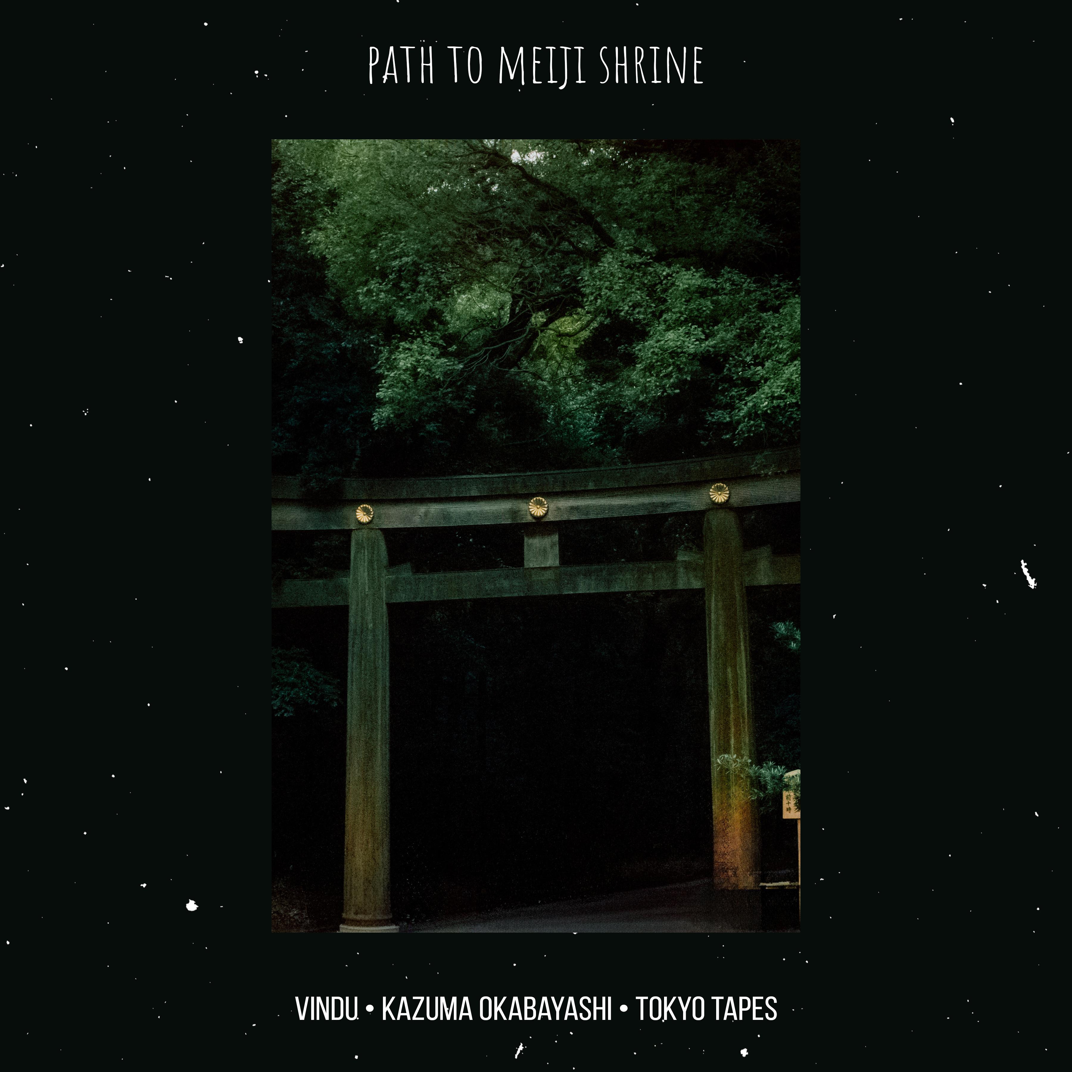 Path to Meiji Shrine