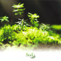 Soil专辑