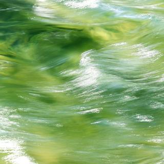 柔软的日系旋律｜生命是一条流动的河