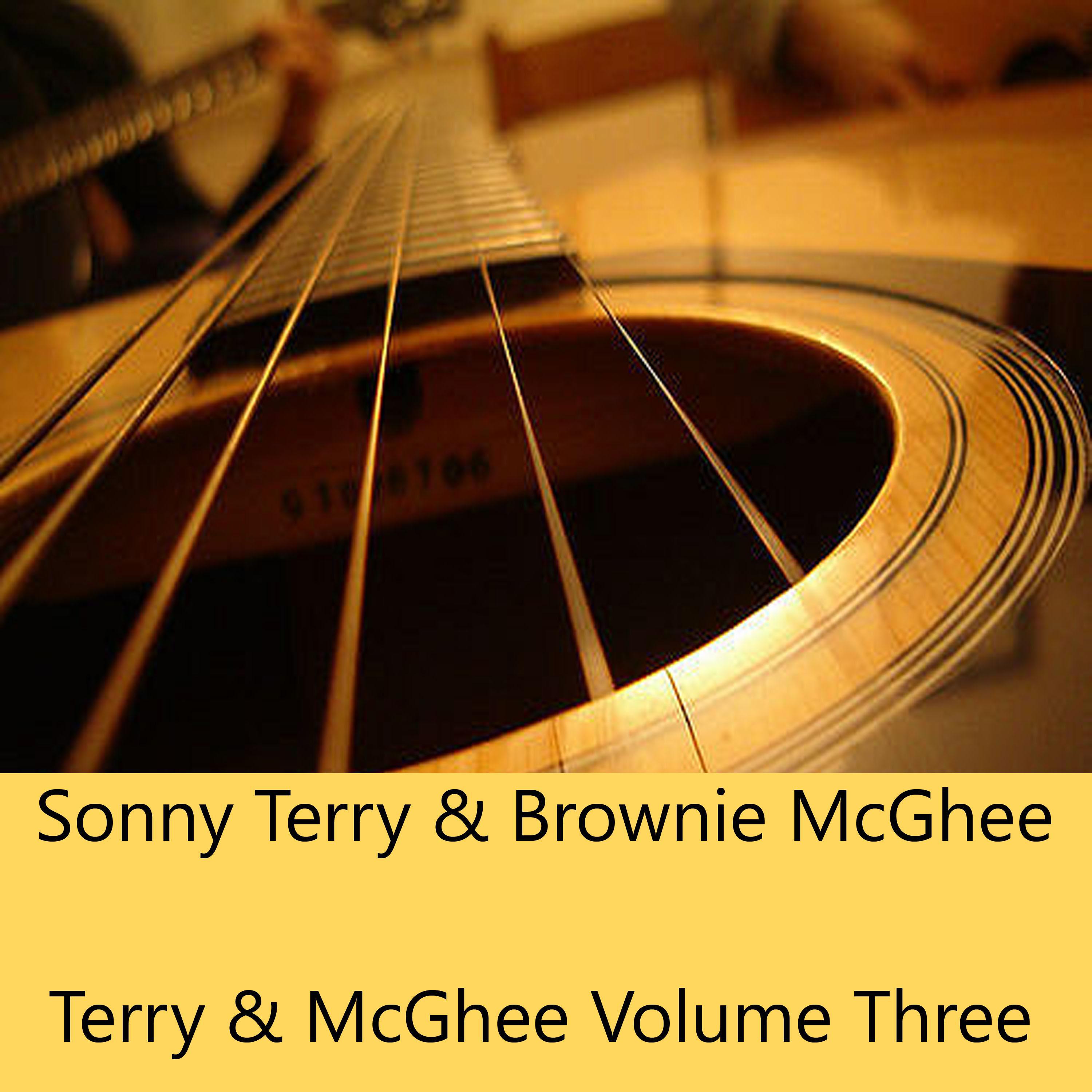 Terry & McGhee Classics, Vol. 3专辑