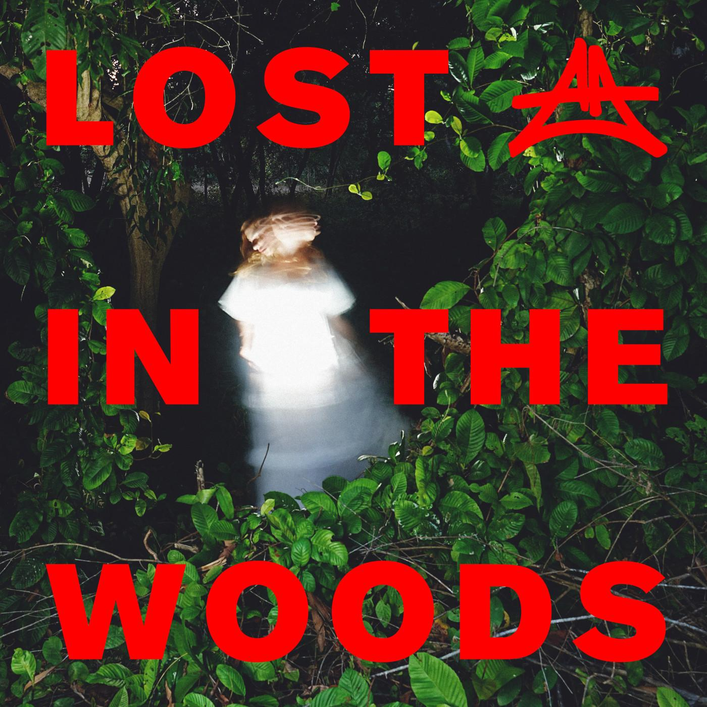Lost In The Woods (Extended Mix)
