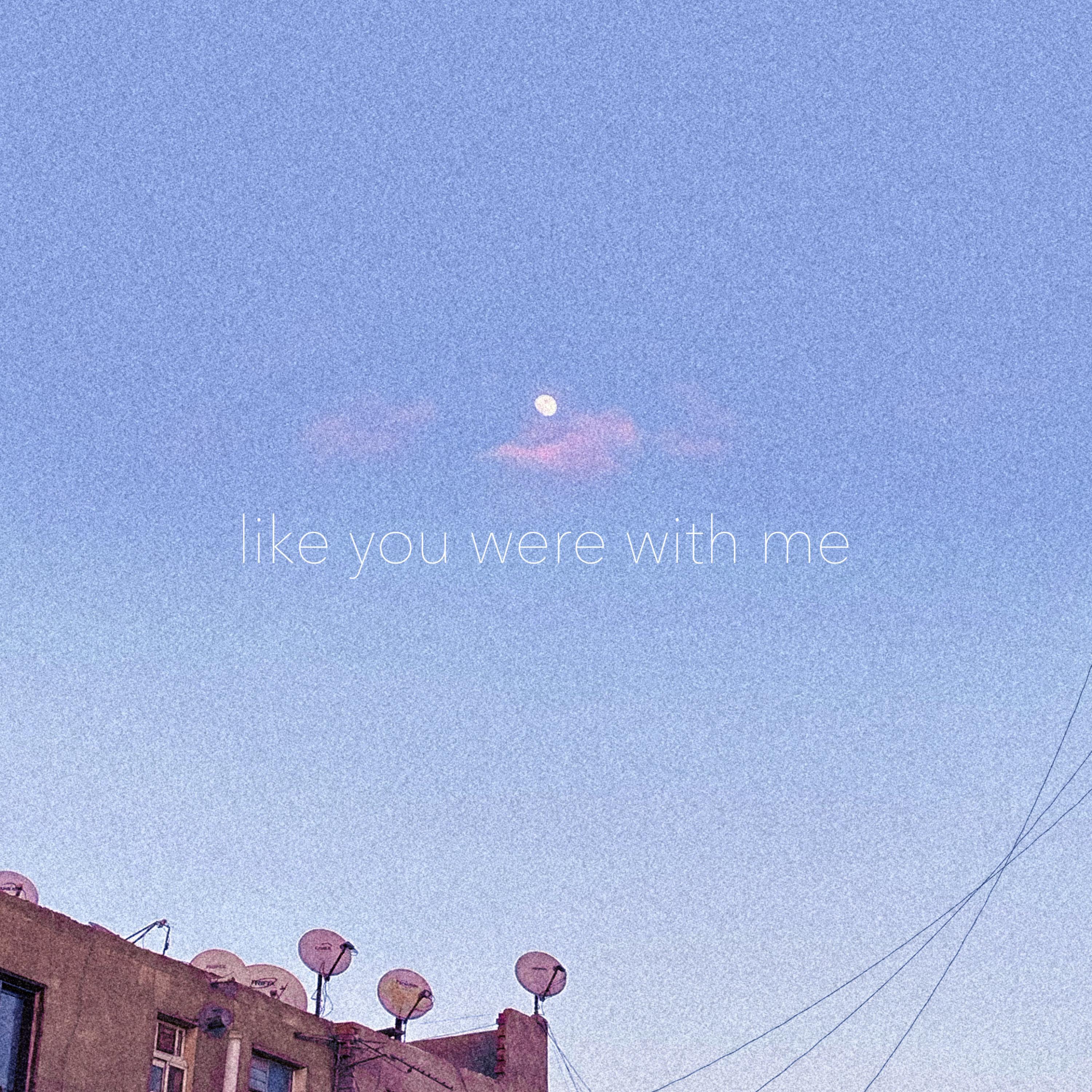 Like You Were With Me (feat. Madson.)专辑