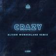 Crazy (Alison Wonderland Remix)