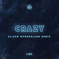 Crazy (Alison Wonderland Remix)
