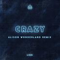 Crazy (Alison Wonderland Remix)专辑