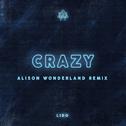 Crazy (Alison Wonderland Remix)专辑