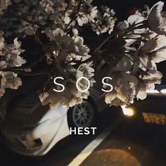 Avicii-SOS（HEST remix）