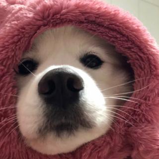 ［汇总］月牙：每日一首