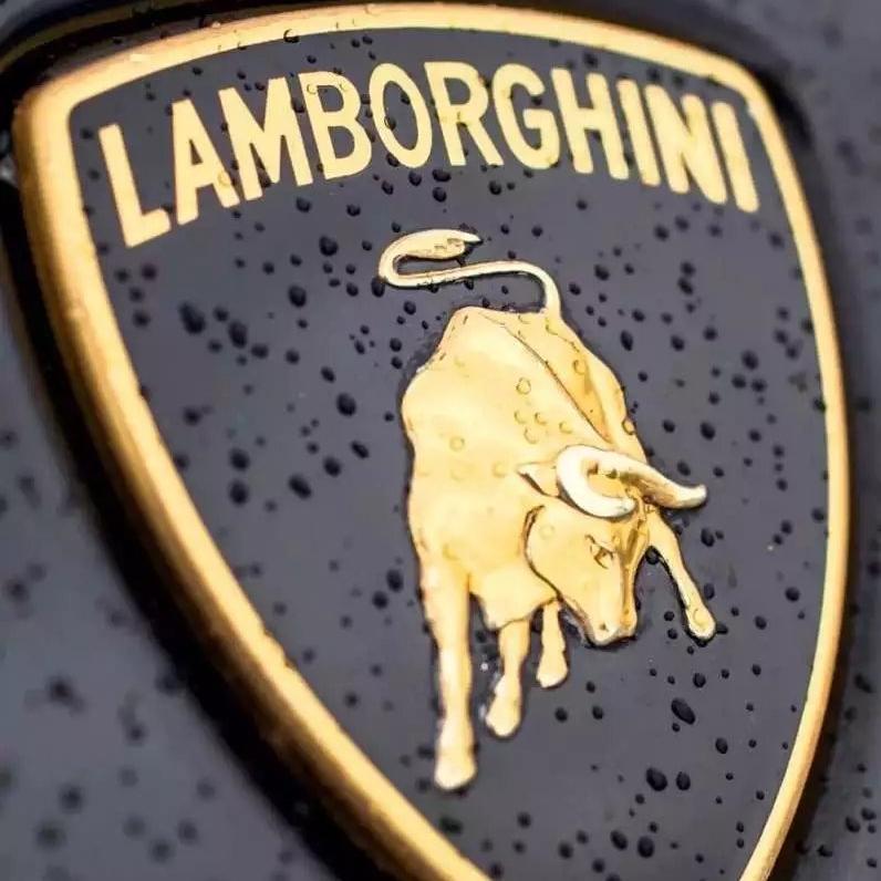 Kamelia-Amör(TJ-KING remix)