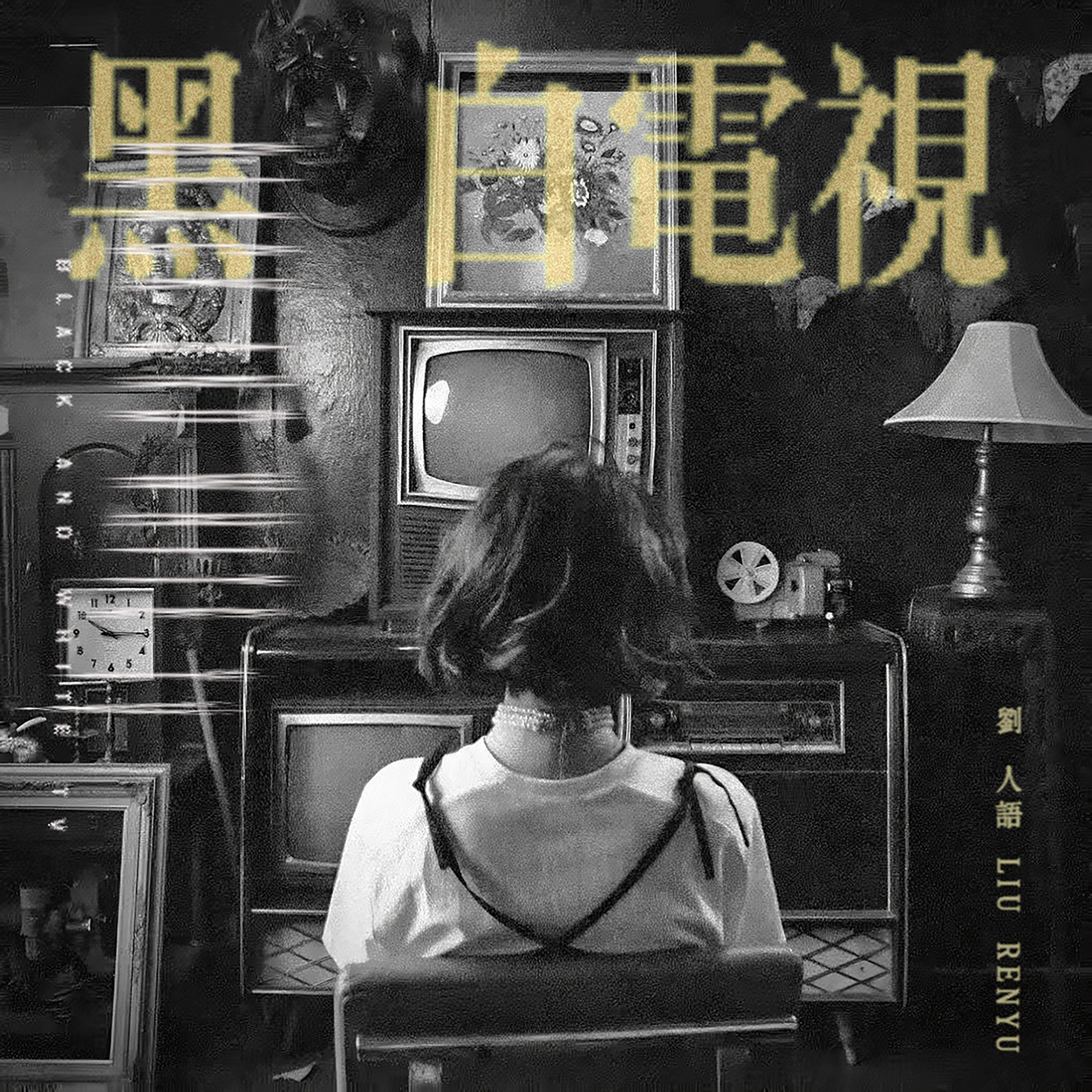黑白电视专辑
