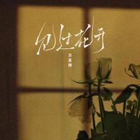 苏星婕 - 见过花开 (DJAh版)