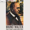 Bruno Walter, Vol. 1