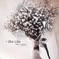 She like Gypsophila paniculata