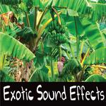 Exotic Sound Effects专辑