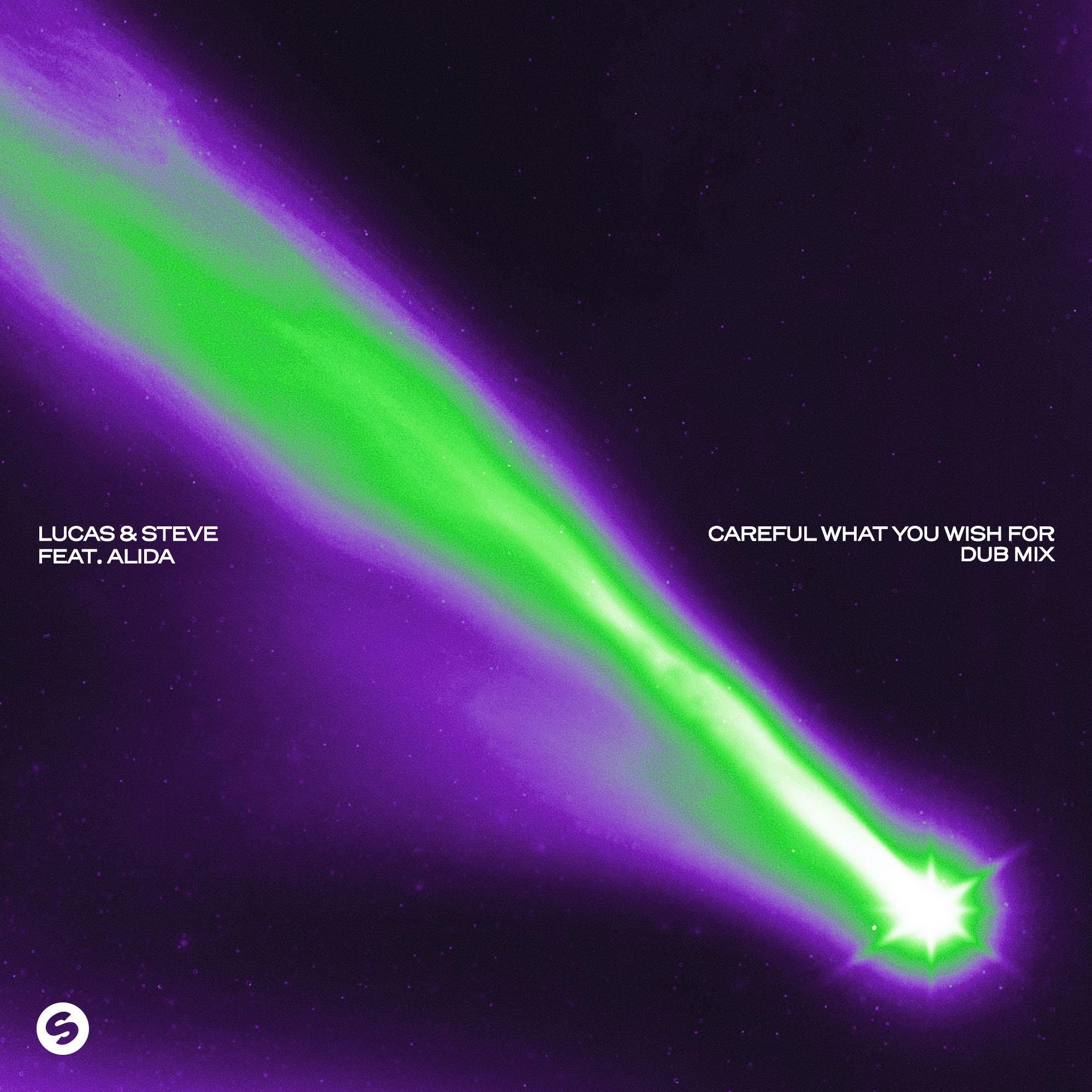 Careful What You Wish For (feat. Alida) [Dub Mix]