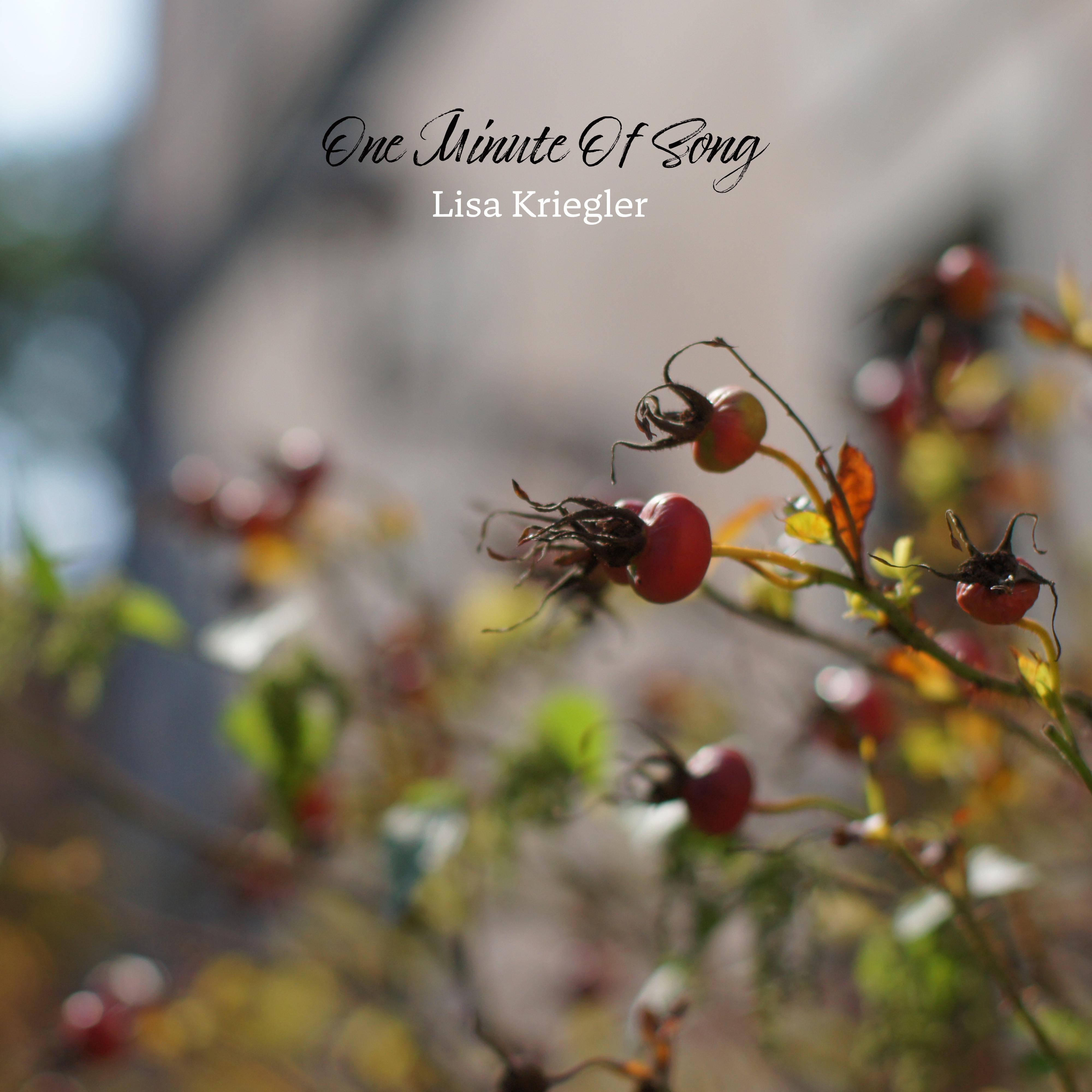 Lisa Kriegler - One Minute Of Song