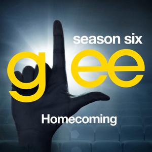 Problem [From Homecoming] - Glee Cast (karaoke) 带和声伴奏