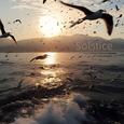 Solstice
