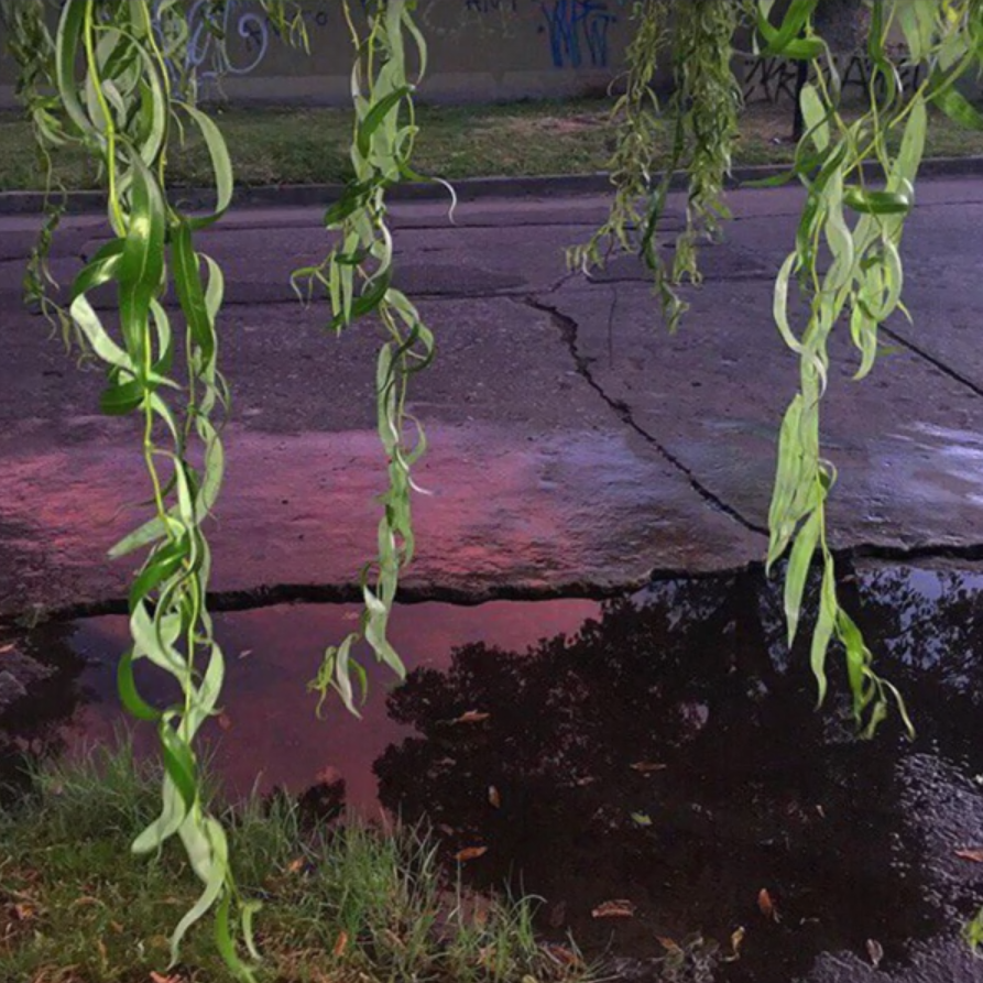 AQUARIUSLOVE/水瓶爱