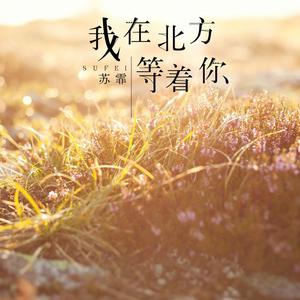 苏霏 - 我在北方等着你(原版立体声伴奏) （降2半音）