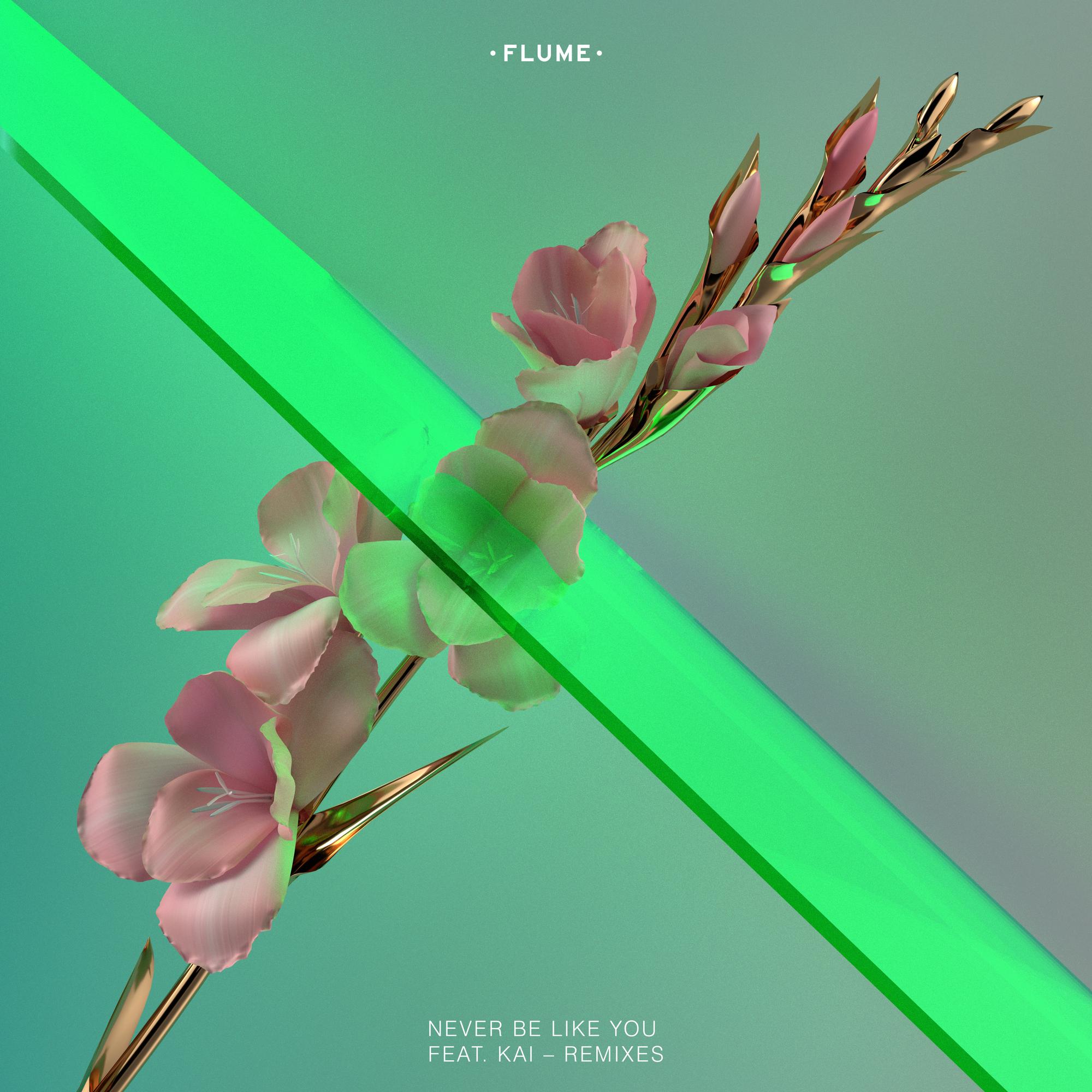 Never Be Like You (Remixes) [ft. Kai]