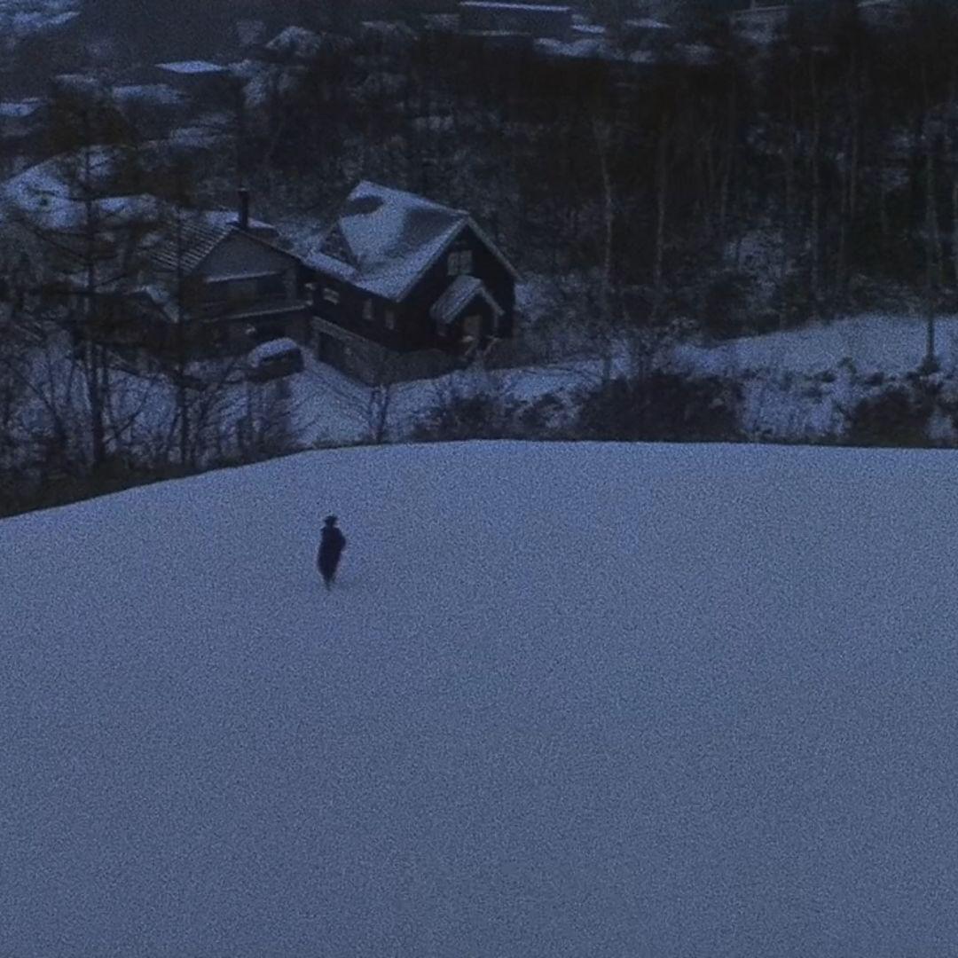 梦里看雪…