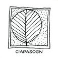 Ciapasogn