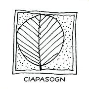 Ciapasogn