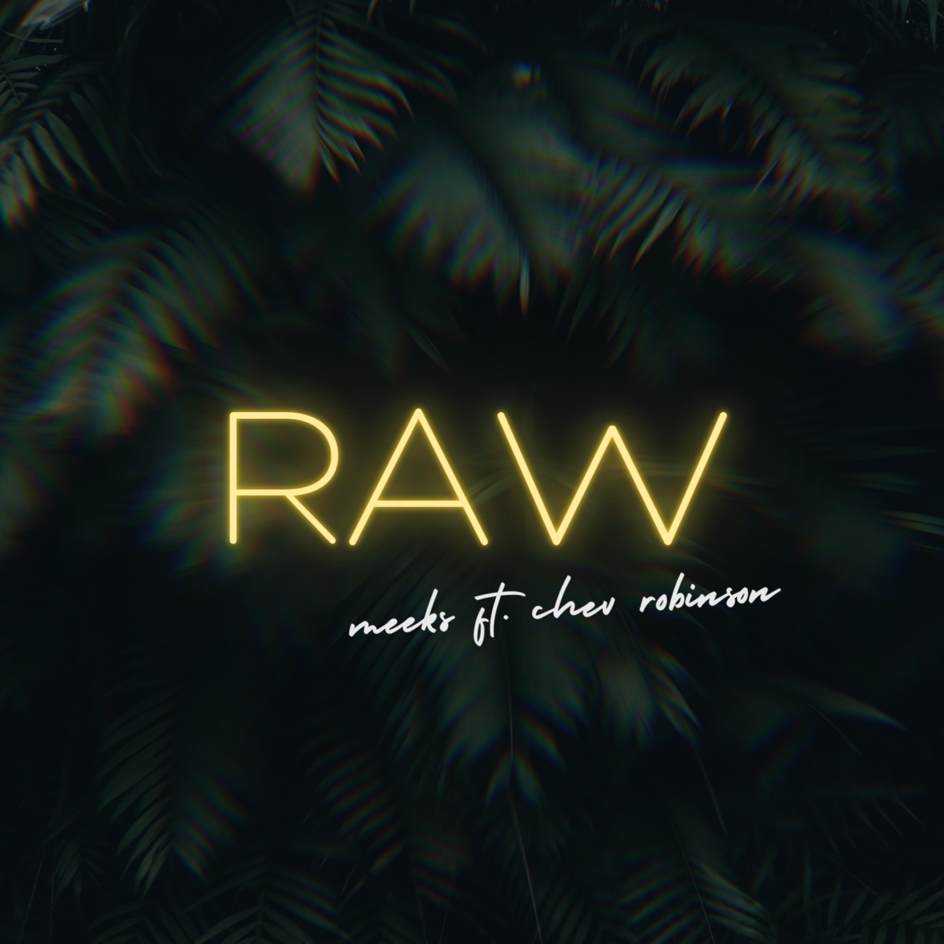 Raw (feat. Chev Robinson)
