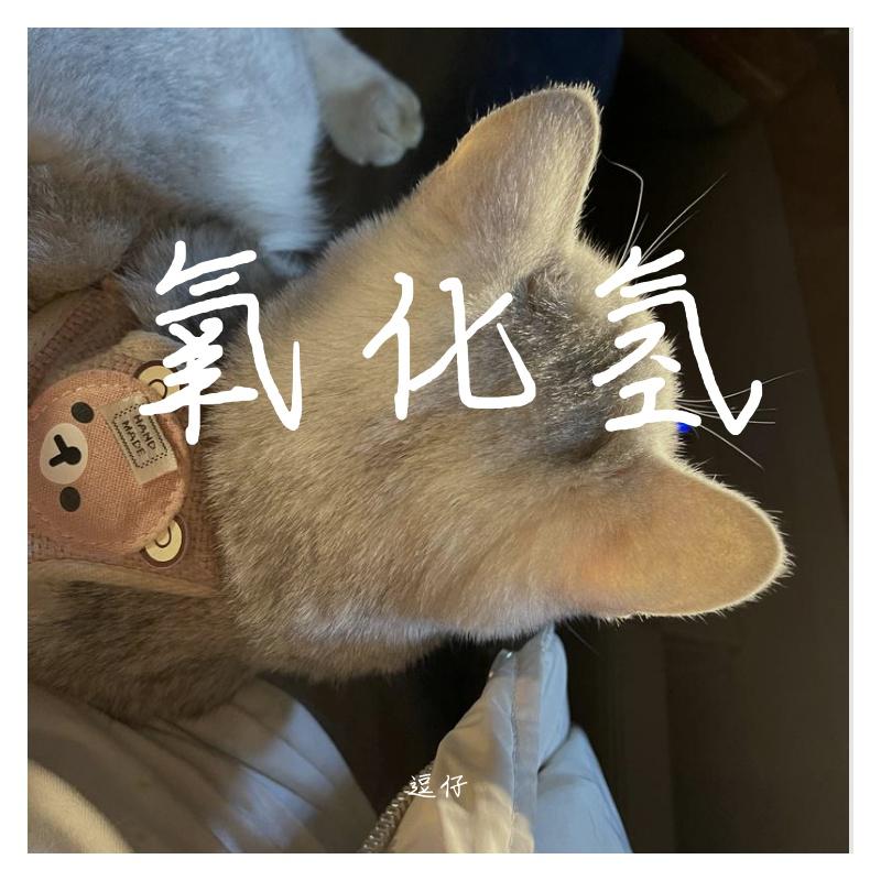 氧化氢