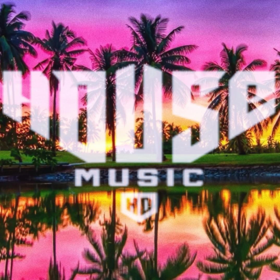 Ameritz Tracks Planet-Edward-Maya---Vika-Jigulina---Stereo（土货 remix）