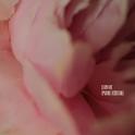 Survive (Piano Version)专辑
