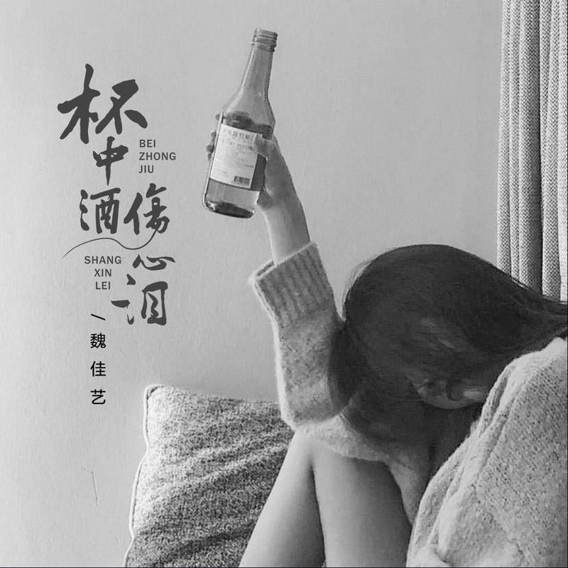 魏佳艺歌曲封面