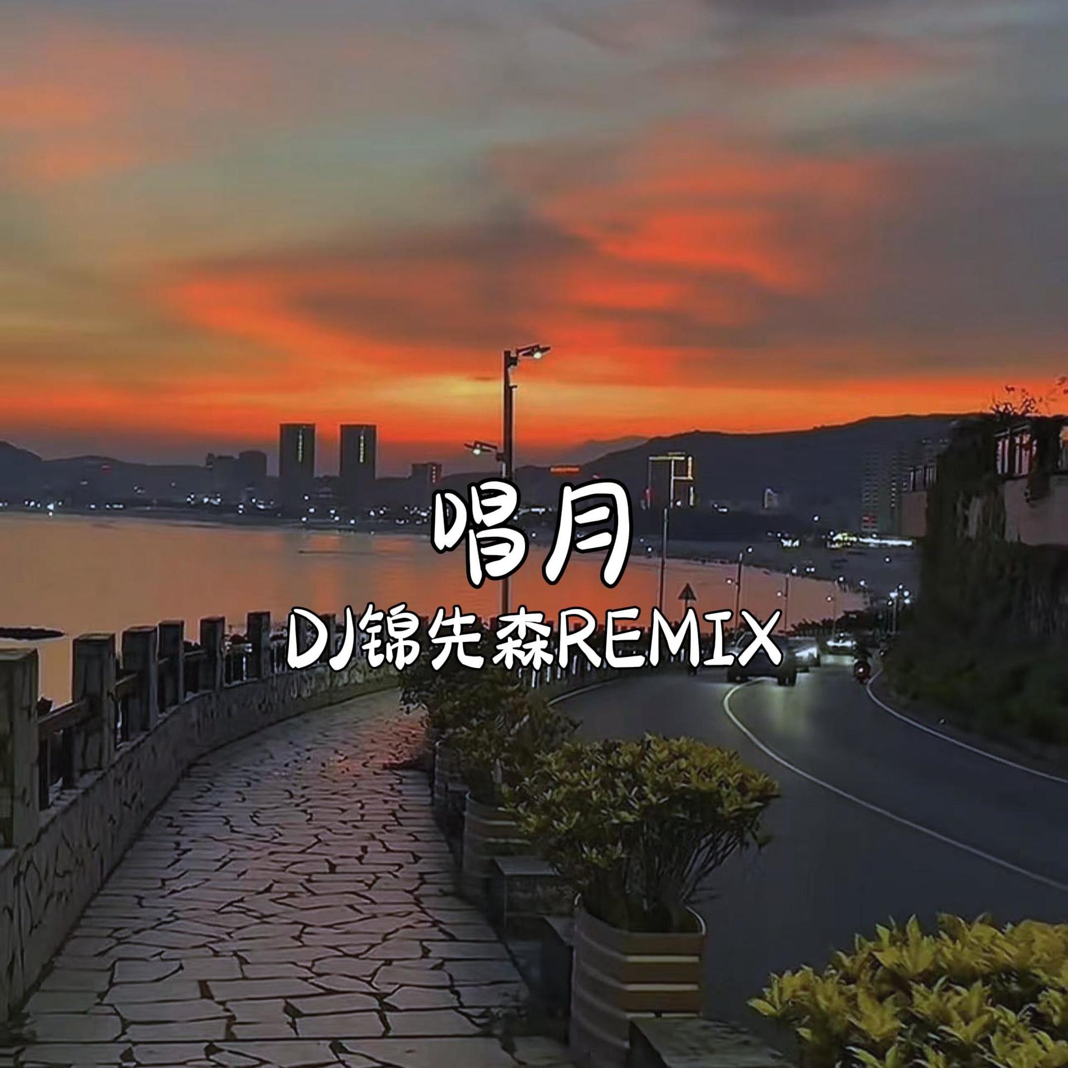 唱月（DJ锦先森 Remix）