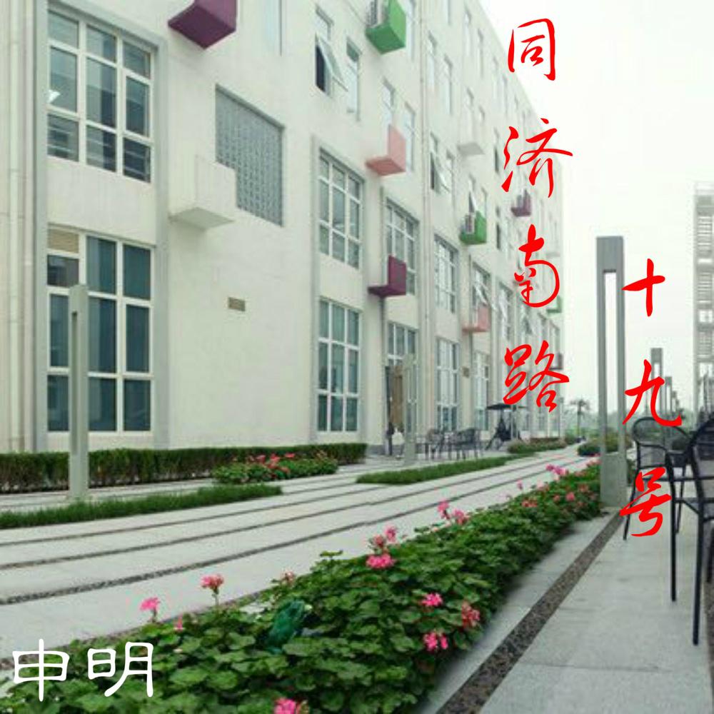 同济南路19号专辑