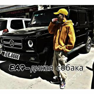 社会CD（Remix)