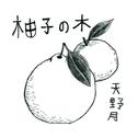 柚子の木专辑