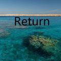 Return