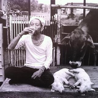 烟嗓民谣：醉放于呢喃细语之中