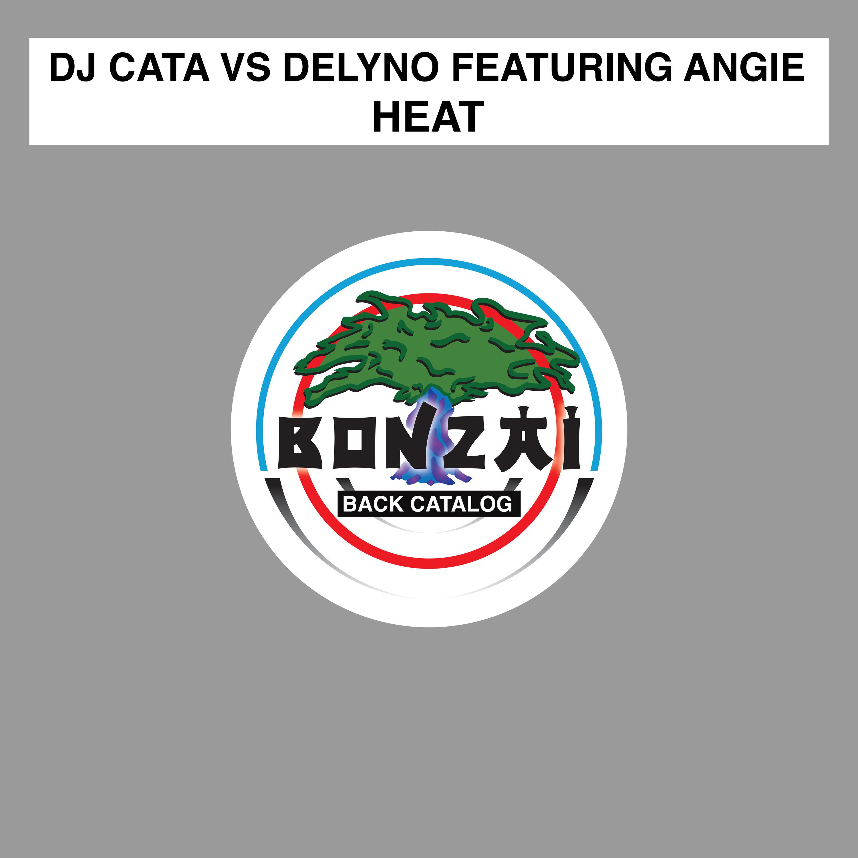 Heat ( feat. Angie)