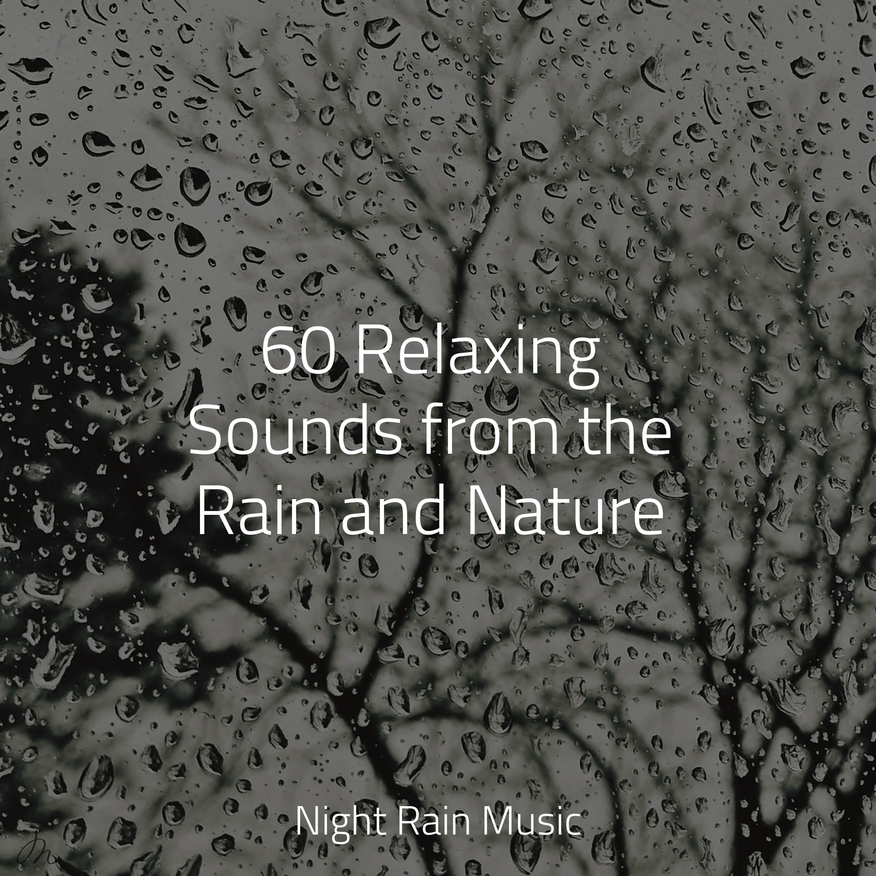 Rain Sound Studio - Park, Birds, Insects, Busy, Calm Wind