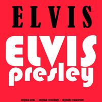 Elvis Presley - Put The Blame On Me (karaoke)
