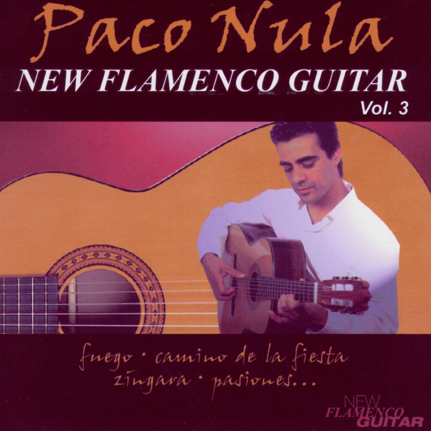 New Flamenco Guitar 3专辑