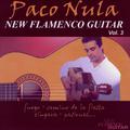 New Flamenco Guitar 3