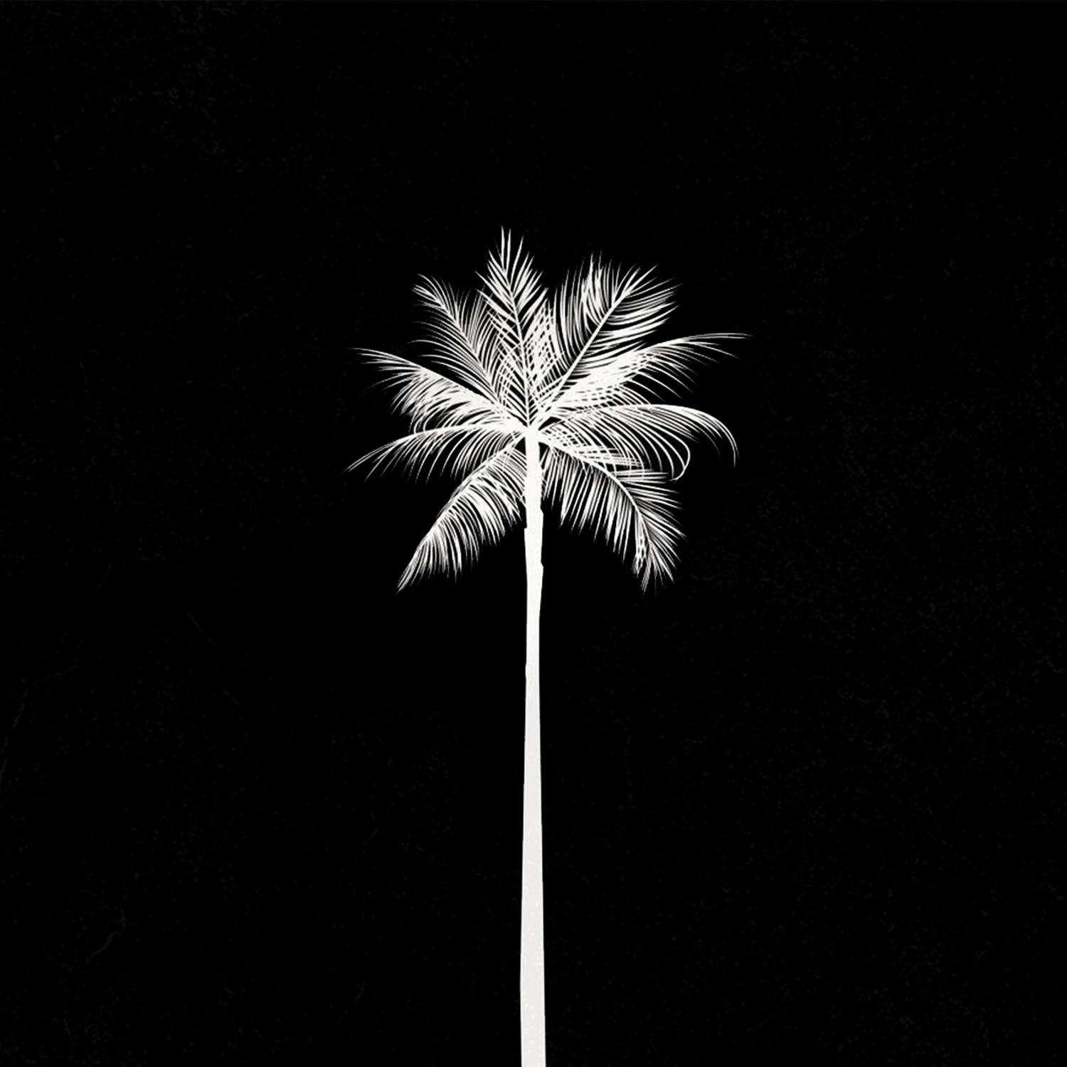 Palmera