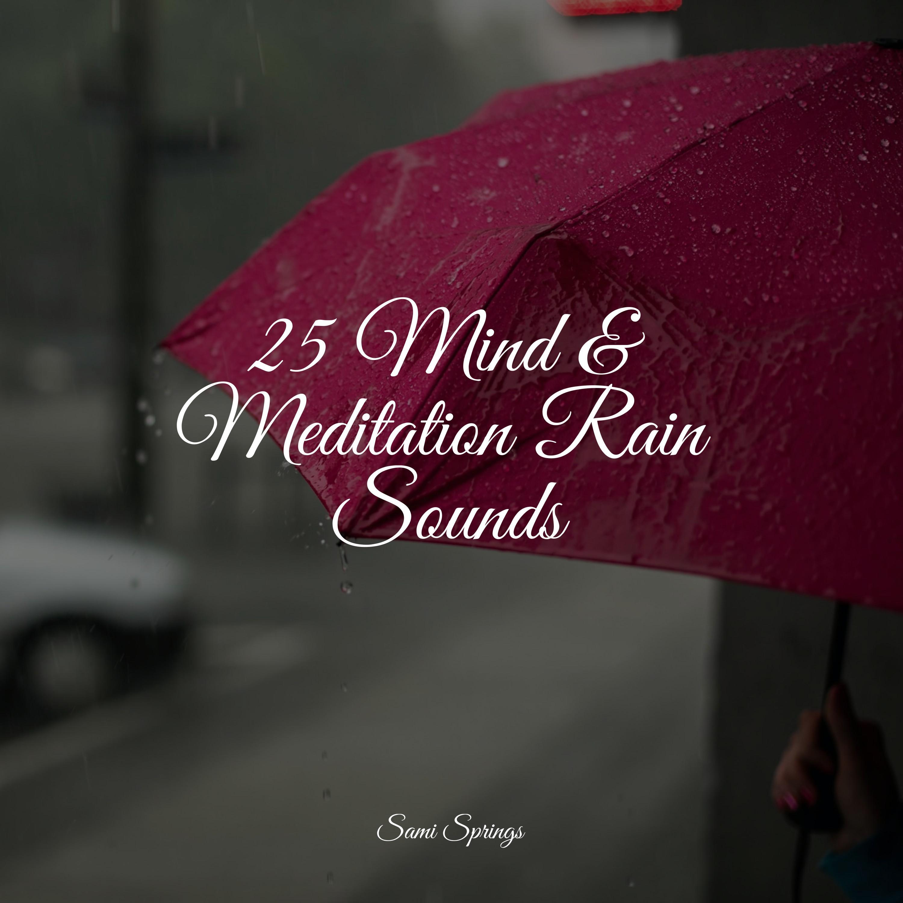 Meditation Awareness - Evening Rains