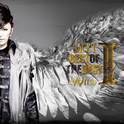 Best Of The Best Vol. I: Wild专辑