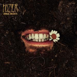 Hozier - Unknown  Nth (Karaoke Version) 带和声伴奏