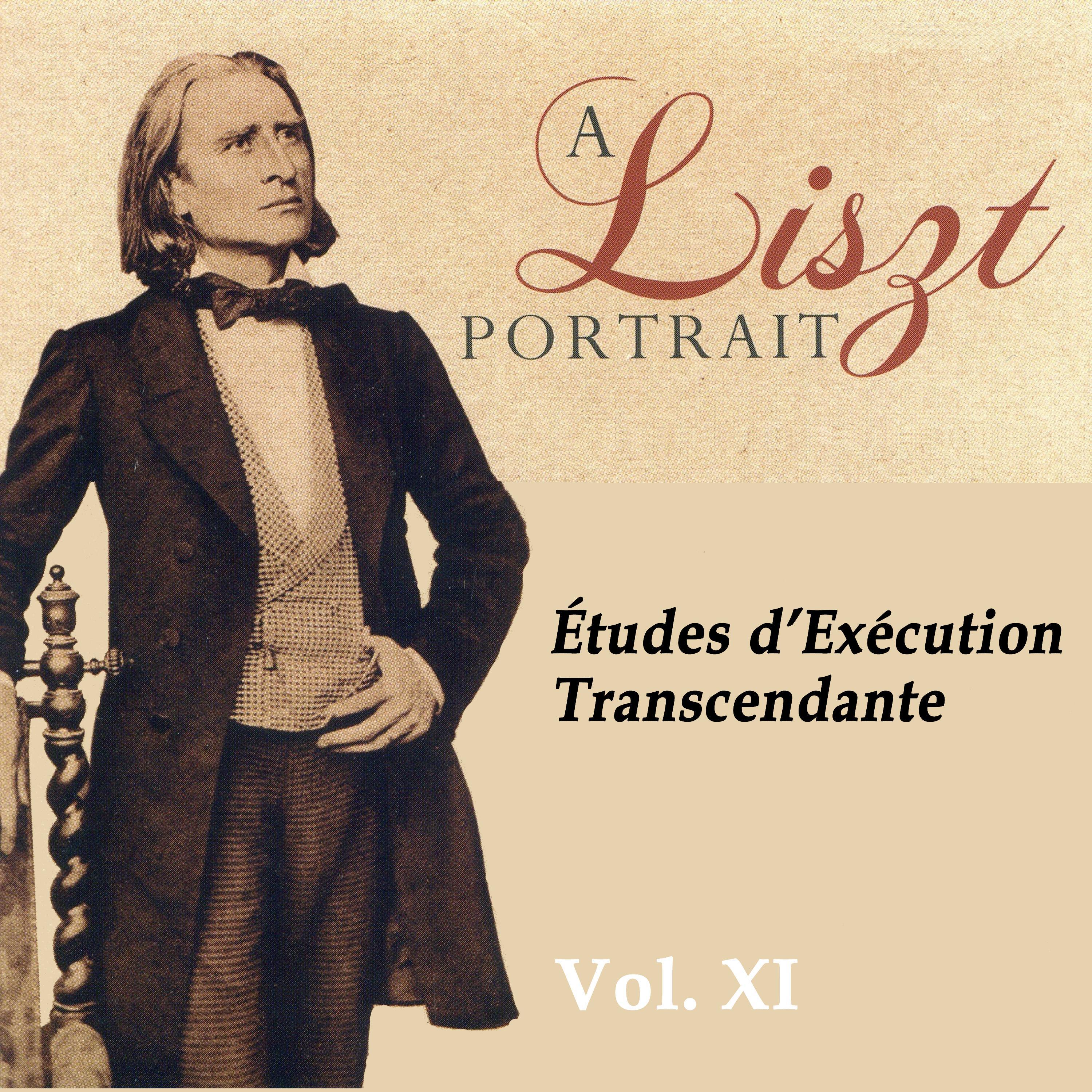 A Liszt Portrait, Vol. XI专辑